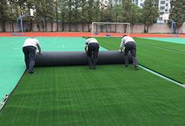 Apoyo técnico y servicios